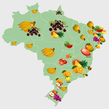 As frutas de cada estado do Brasil