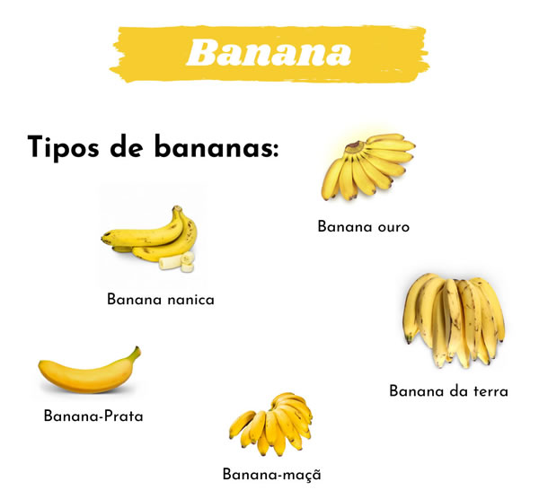 Saiba mais sobre os tipos de banana que existem - MUR | Museu da Roça