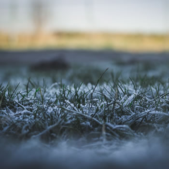 Quais os riscos e danos das baixas temperaturas para a agricultura?