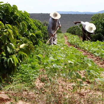 25 de Maio - Dia do Trabalhador Rural