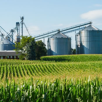 Conheça algumas das maiores empresas do agronegócio do Brasil