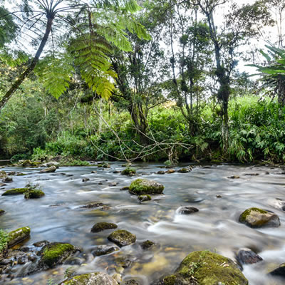 Banho de rio